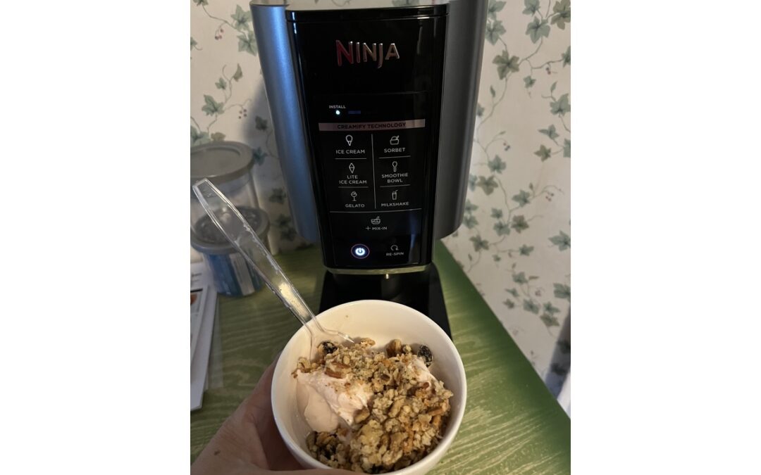 Ninja Creami Protein Fro Yo